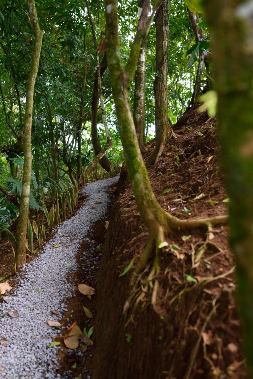 Volcano Gold Loft La Fortuna Exteriér fotografie