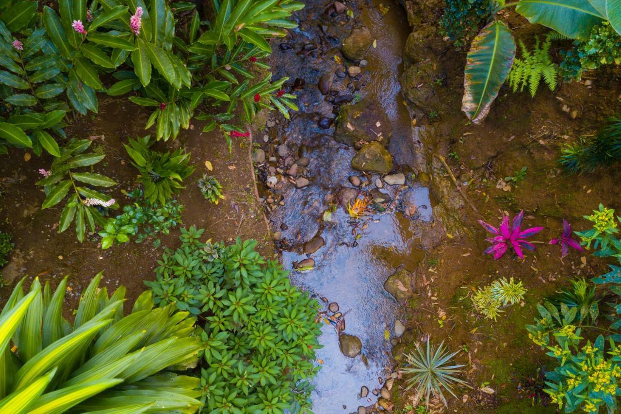 Volcano Gold Loft La Fortuna Exteriér fotografie
