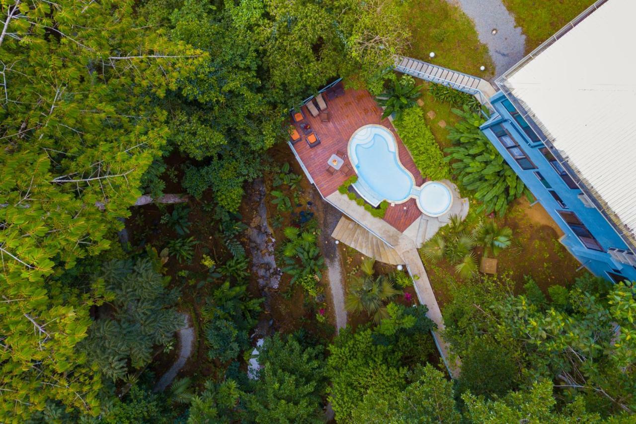 Volcano Gold Loft La Fortuna Exteriér fotografie